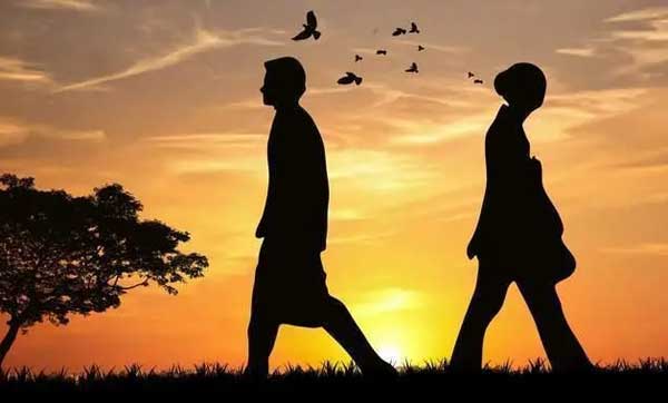 【契约】婚姻的本质：契约、合作还是灵魂共